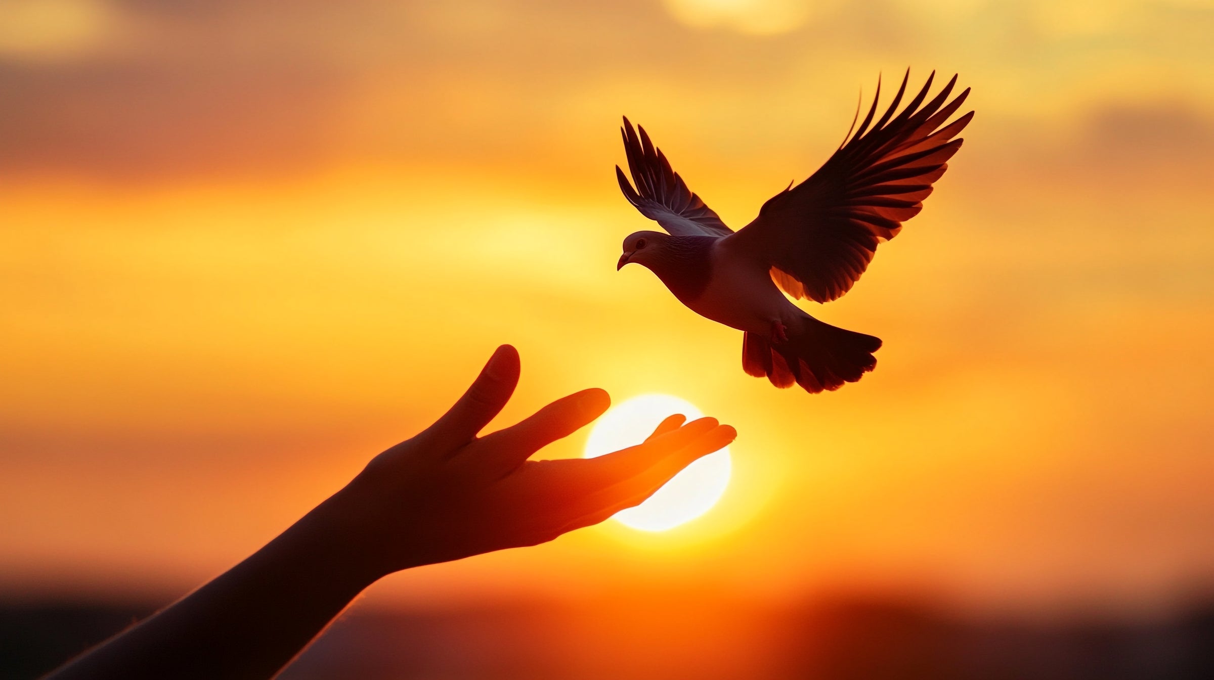 Let Go & Let God